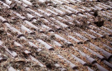 Kintessack roof cleaning companies