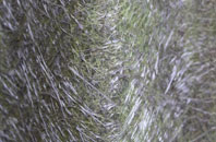 Kintessack fibreglass roof work